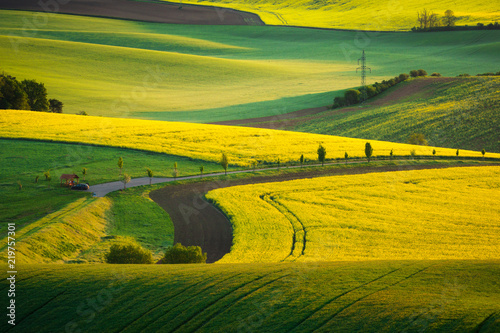 Moravian fields near Sardice  Hodonin  Czech Republic