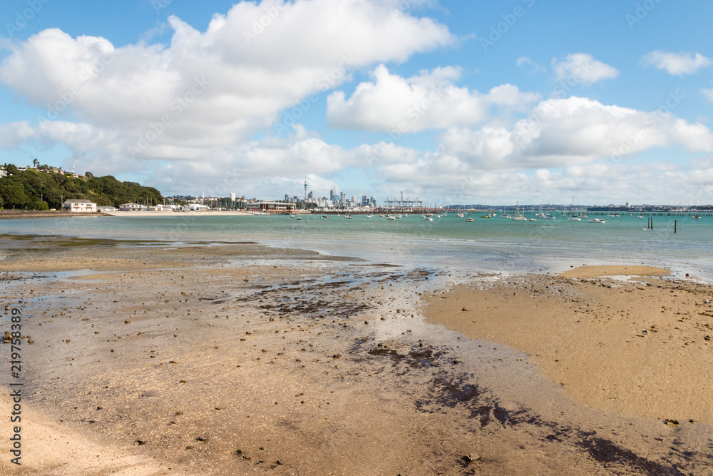 sandy beach in Hobson Bay in Auckland, New Zealand