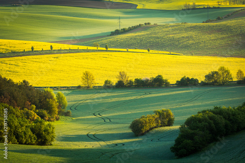 Moravian fields near Sardice, Hodonin, Czech Republic photo