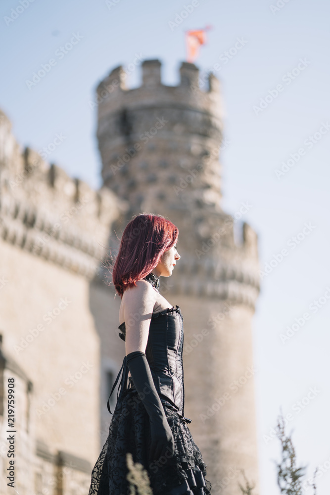 Pretty red haired medieval girl poses together castle. Stock Photo ...