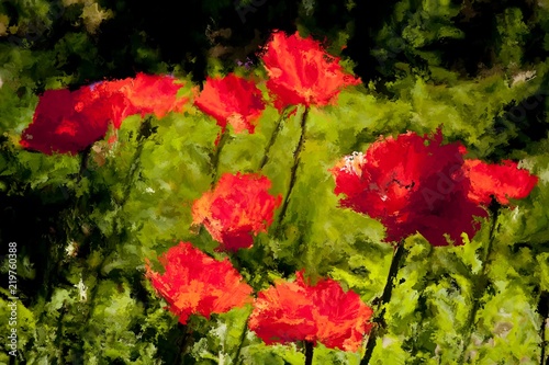 Digital Painting of red Poppies