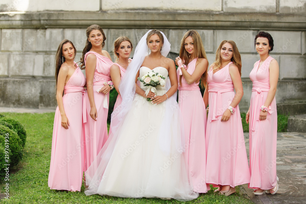 Wedding. Beautiful bridesmaids in pink dresses posing and looking to camera at wedding day. Group wedding portrait of guests with bride in white wedding dress Wedding. Beautiful bridesmaids in pink dresses posing and looking to camera at wedding day. Group wedding portrait of guests with bride in white wedding dress