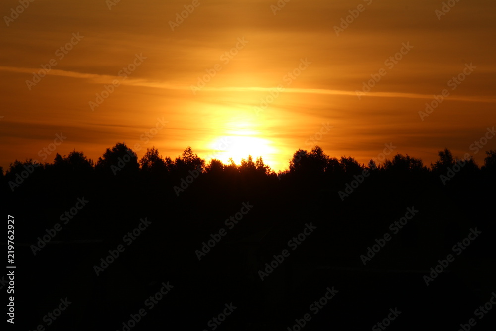 sunset over the forest. background.