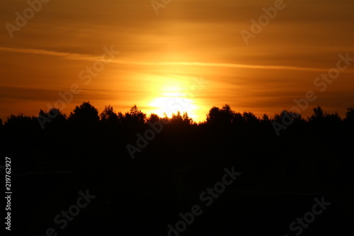 sunset over the forest. background.