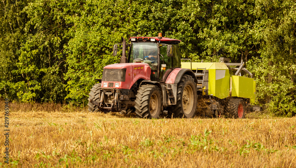the tractor on the field collects straw into rolls the tractor on the field collects straw into rolls