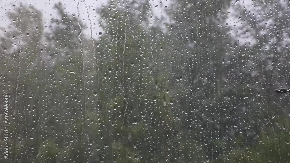 Lot of water drops on window. Storm - stream of water moving down. Gray sky and blurred trees on the wind behind. Rainy day, wet glass. Lot of water drops on window. Storm - stream of water moving down. Gray sky and blurred trees on the wind behind. Rainy day, wet glass.