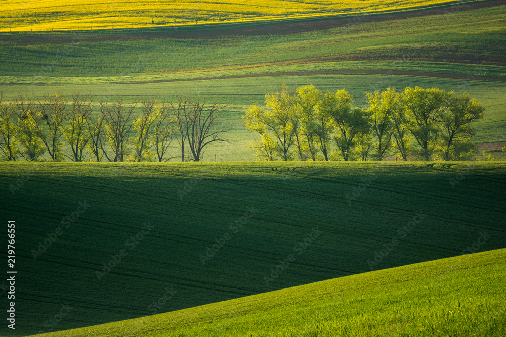 Fototapeta premium Moravian fields near Sardice, Hodonin, Czech Republic