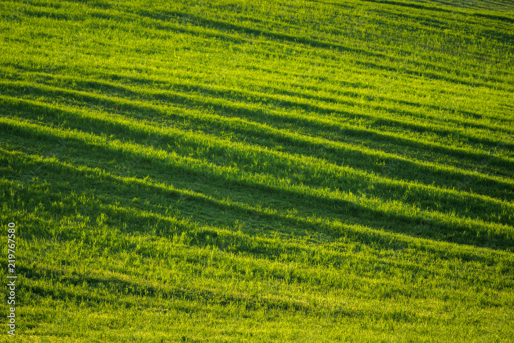 Moravian fields near Sardice, Hodonin, Czech Republic Moravian fields near Sardice, Hodonin, Czech Republic