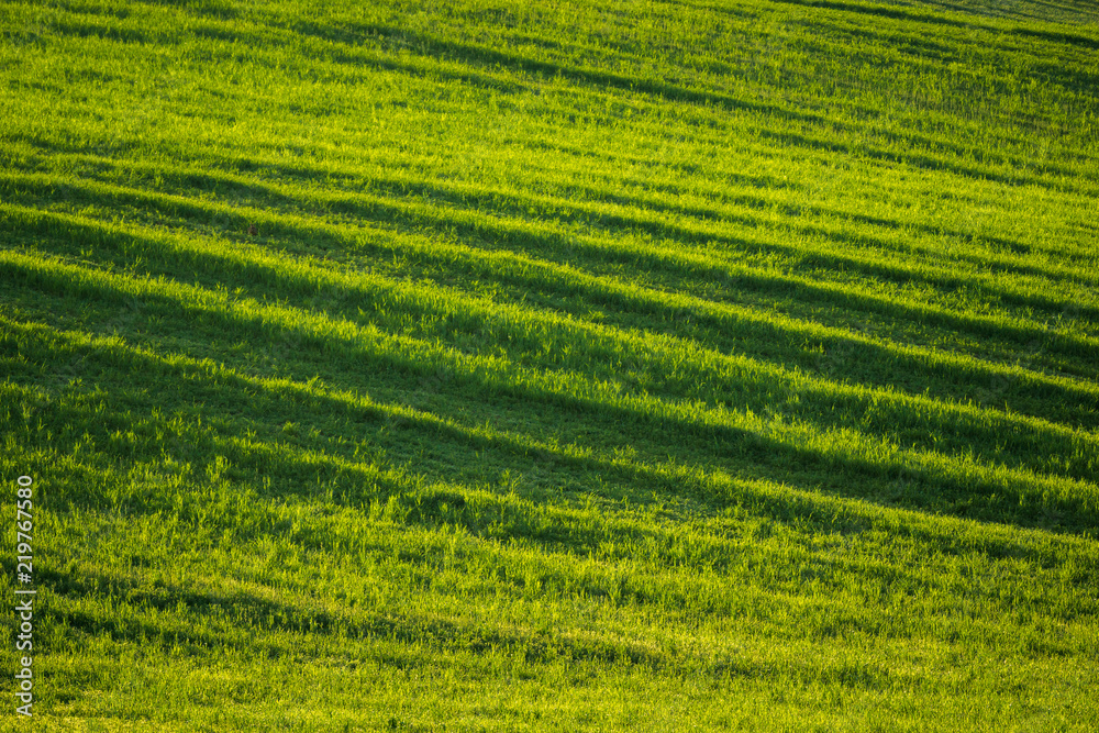 Moravian fields near Sardice, Hodonin, Czech Republic