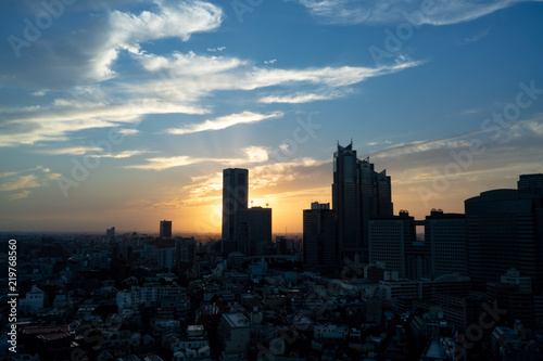 Shinjuku Sun Set