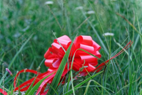 Red bow lies on grass, concept of lost hope. photo