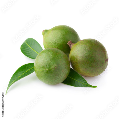 Macadamia nuts isolated on a white background photo