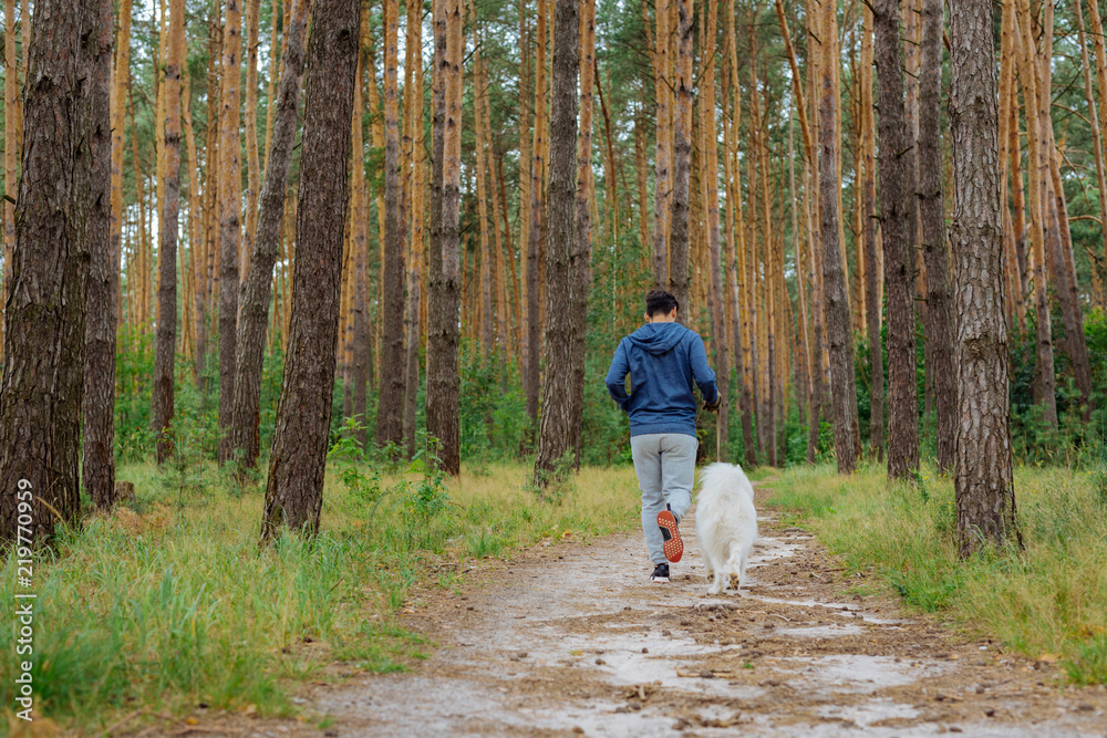 Fototapeta premium Running with pet. Dark-haired man wearing blue hoodie running in the forest with his white pet