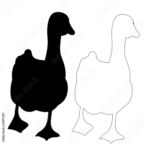 isolated silhouette of geese and ducks