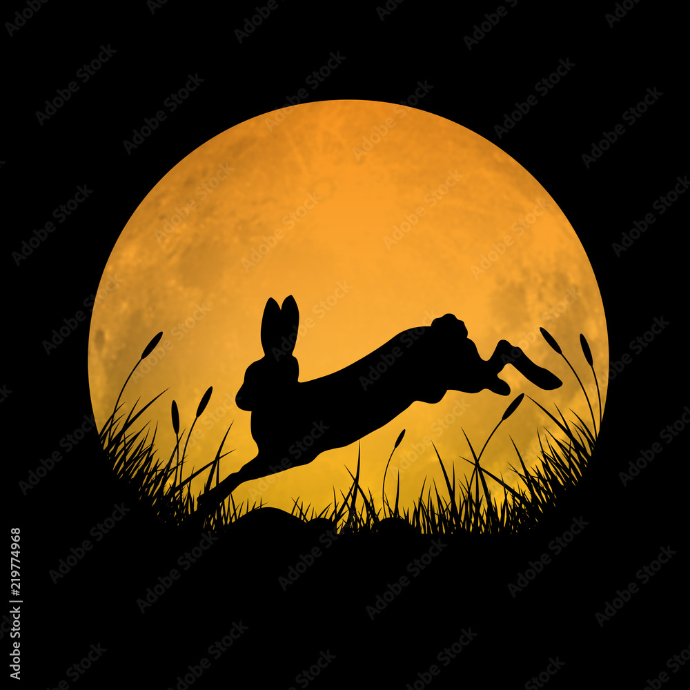 Fototapeta premium Sylwetka królika, przeskakując pole trawy z tłem księżyca w pełni, ilustracji wektorowych