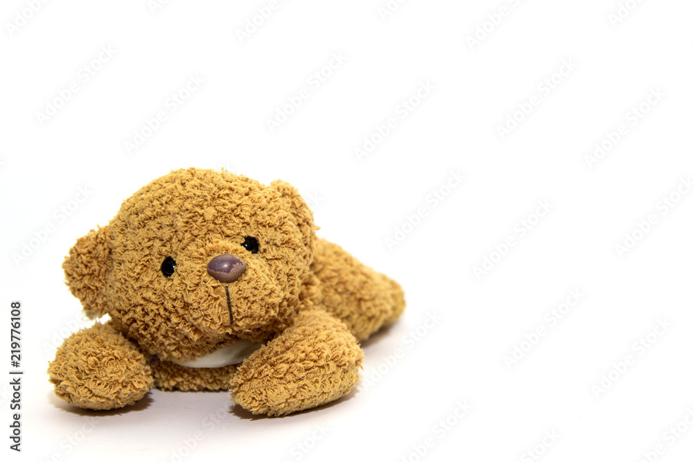 Fototapeta premium teddy bear on a white background. A toy.