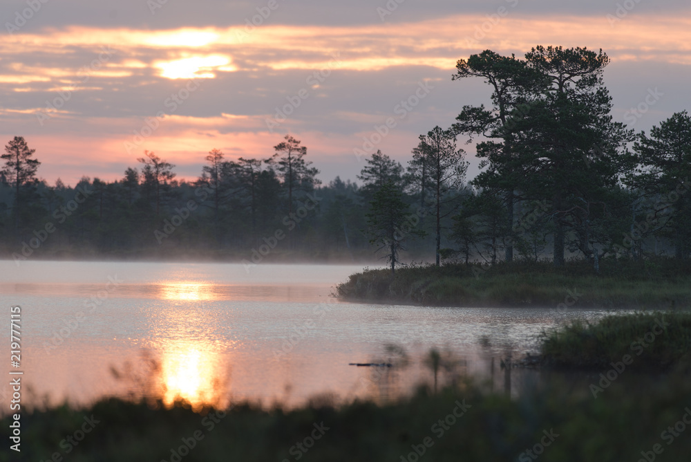 Fototapeta premium by the lake