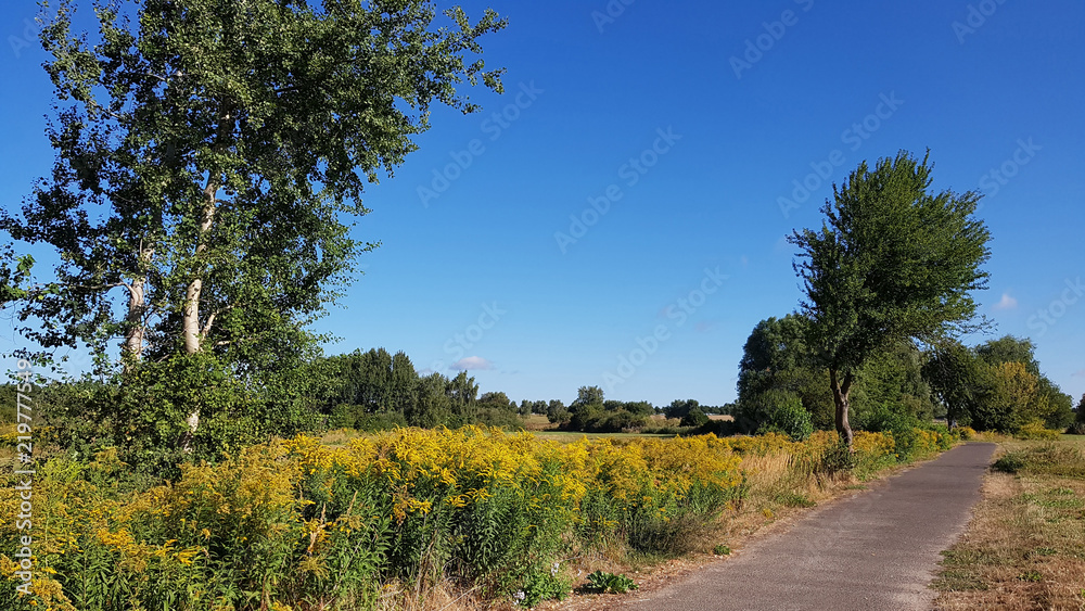 Obraz premium The Berlin Wall Trail in North of Berlin in Late summer