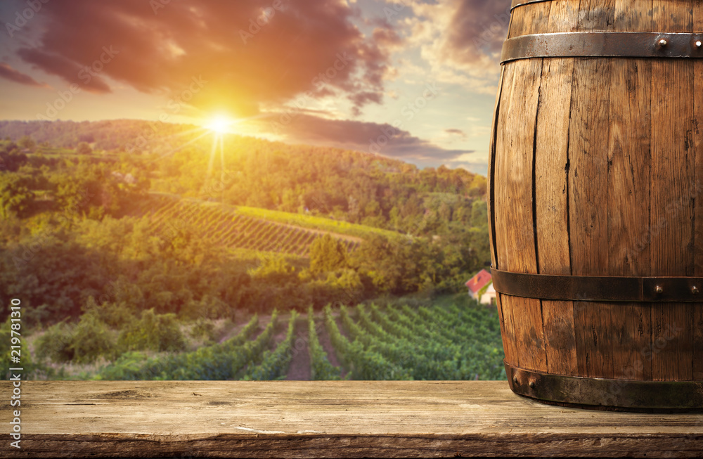 Ripe wine grapes on vines in Tuscany, Italy. Picturesque wine farm, vineyard. Sunset warm light Ripe wine grapes on vines in Tuscany, Italy. Picturesque wine farm, vineyard. Sunset warm light
