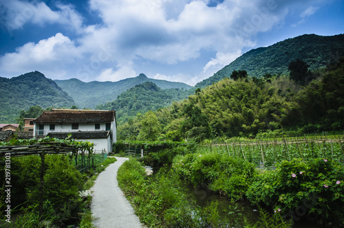 Wallpaper Mural Forest and mountain scenery Torontodigital.ca