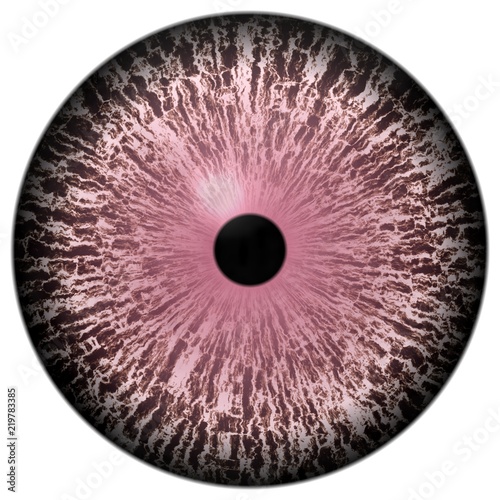 Wolf 3d eyeball  pink animal eye with isolated white background  colorized eye  black pulpil