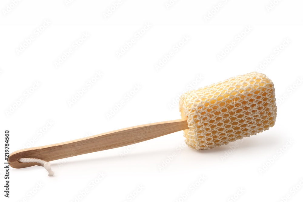 Sponge for cleaning body isolated with clipping path.