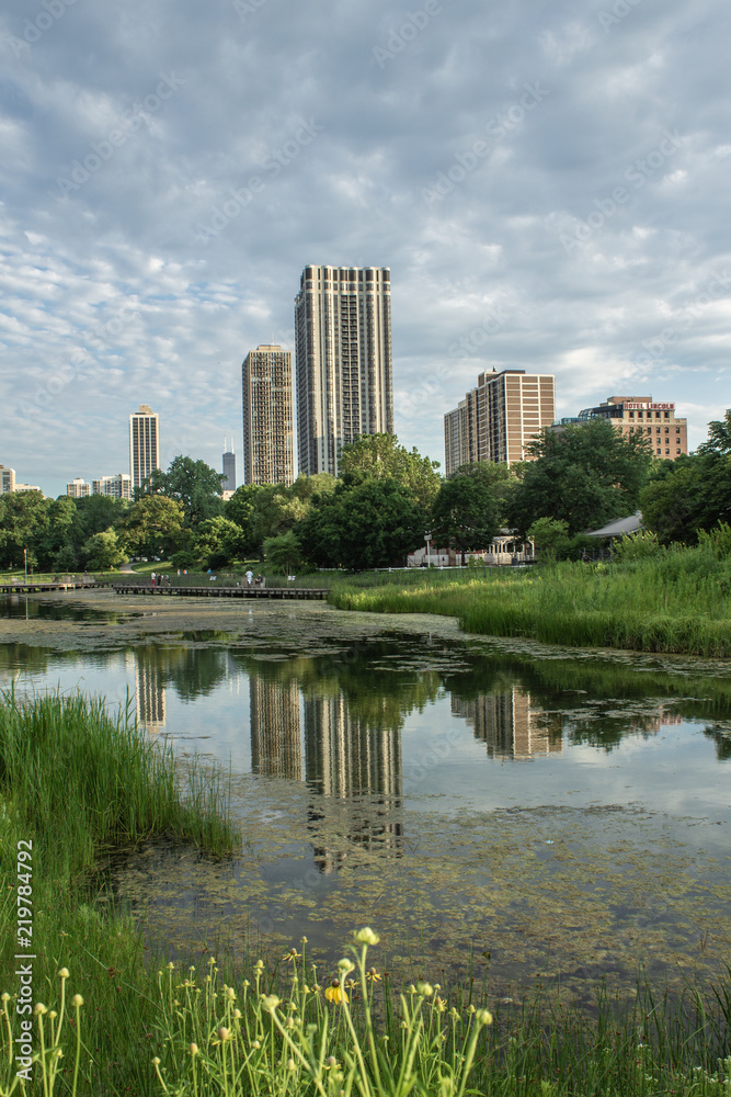 Chicago, Illinois/USA.  July 9, 2018.  Tall Building in Chicago reflecting in Park Pond.
