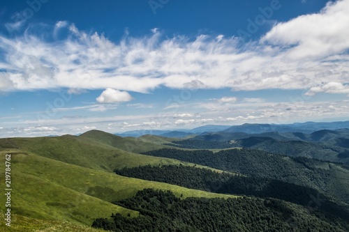 Green mountain slopes covered with forest. Summer. Carpathians.