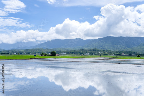 Landscape View Of Beautiful Paddy Field (Rice Plantation) At Brown Avenue, Chishang, Taitung, Taiwan photo