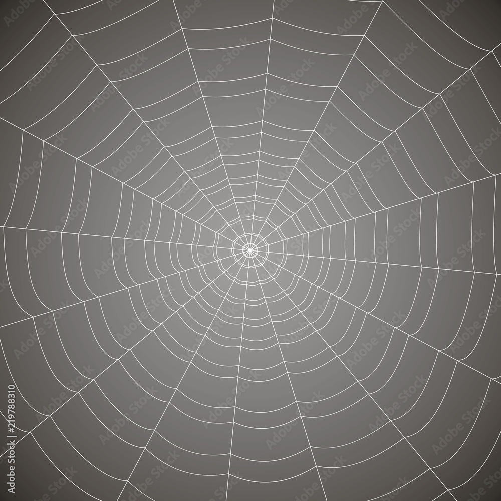 Obraz premium concentric white web on a gray background
