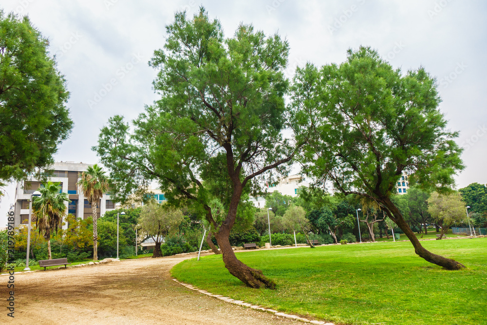 View of Yarkon Park at cloudy day, Tel Aviv, Israel