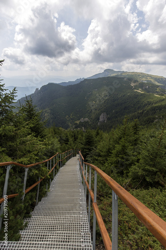 Metalic stairs on the Toaca peak in Romania Carpathians photo
