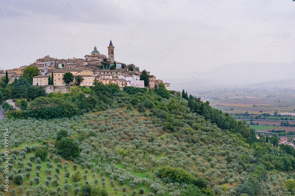 Italian countryside landscape of olive groves and Trevi