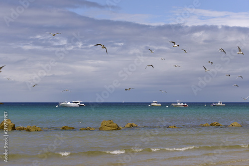 Beach with boats in the sea and gulls in flight at Sables-d Or-les-Pins  a French Seaside resort  located mainly in Fr  hel commune in the C  tes-d Armor department in Brittany in northwestern France.