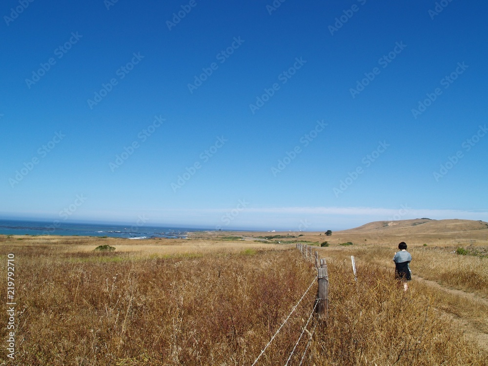 海辺を歩く少女