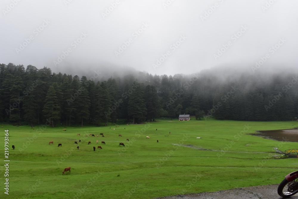 Beautiful place in Himachal India