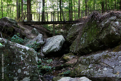 Bridge in the forest Tishomingo State Park