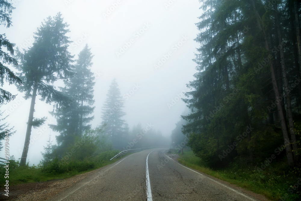 Fototapeta premium Summer view of the mountain road