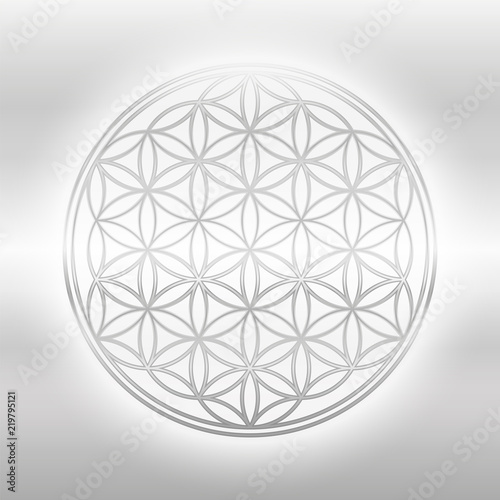 Flower of Life  silver glance symbol on silvery background.