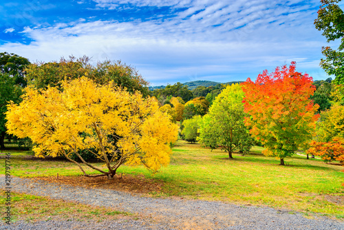 Australian autumn in Mount Lofty, Adelaide Hills