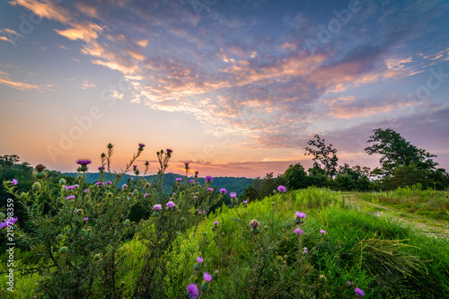 Sunset in the Mountains