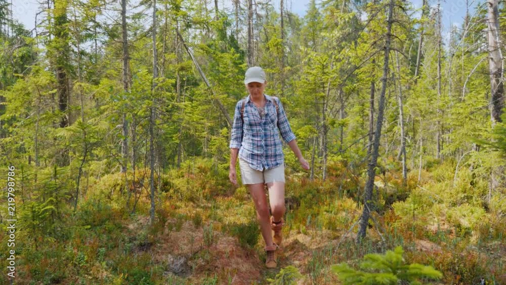 The traveler walks through the untouched forest and swampy land. Explore the unknown and get lost in the forest concept The traveler walks through the untouched forest and swampy land. Explore the unknown and get lost in the forest concept