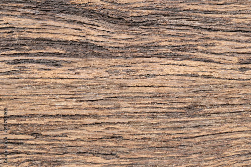 Old wood texture. Old wood texture.