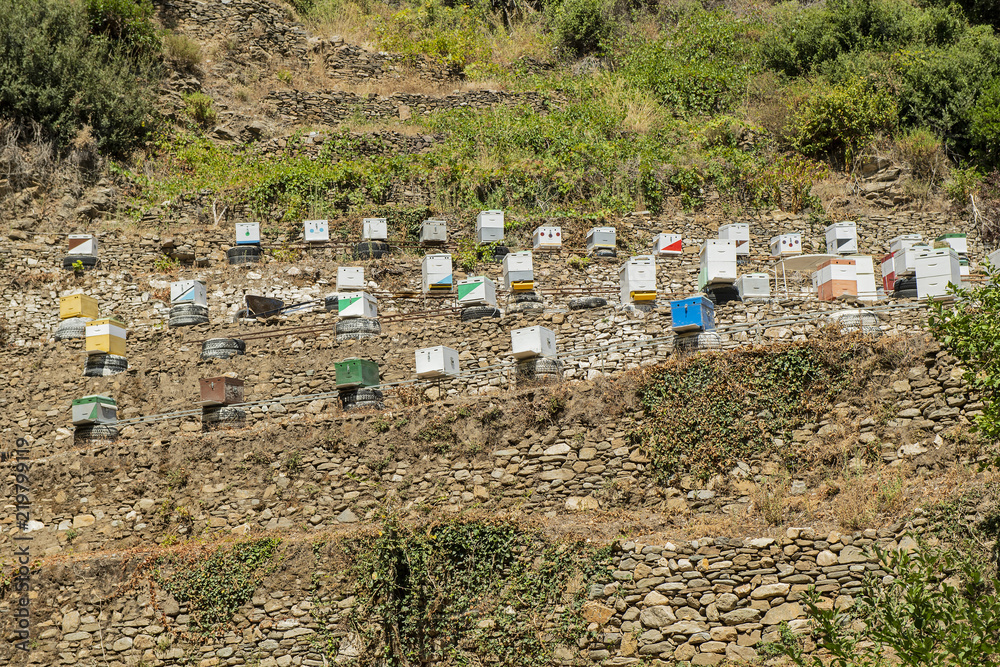 Bienenhäuschen auf der Insel Samos, Griechenland Bienenhäuschen auf der Insel Samos, Griechenland