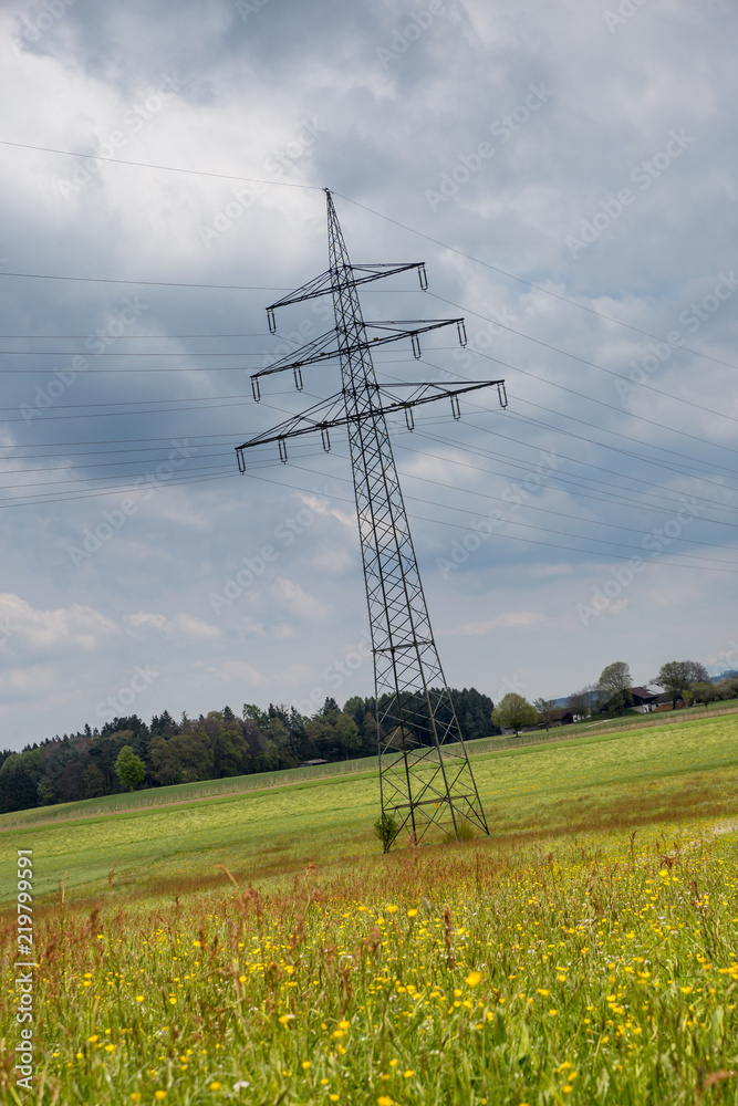 Electricity Pylon on Meadow with Flowers in front of Cloudy Sky, Germany