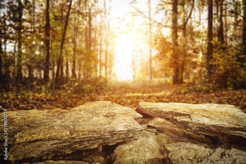 Autumn place of forest and stone 