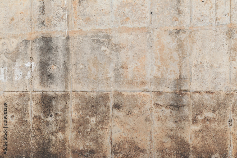 Fototapeta premium surface of gray cement wall.