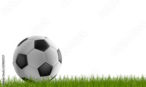 soccer ball with green lawn 3d-illustration isolated