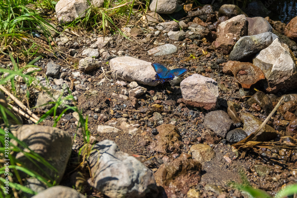 Obraz premium 湯川広戸橋