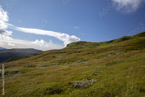 Wanderlust on Seterfjellet mountain in Nordland county Northern Norway